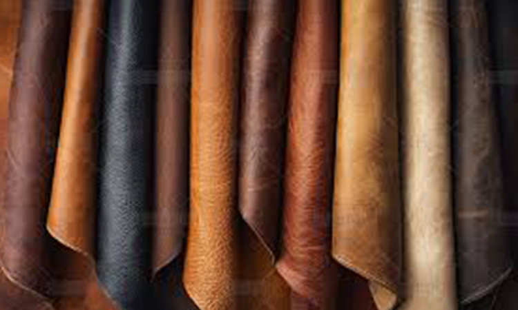 Leather-&-Tanning-.jpg